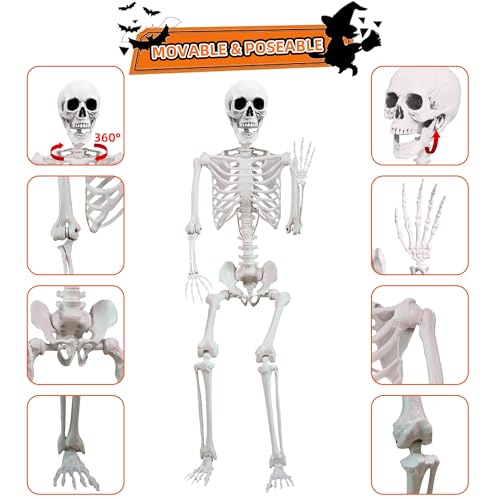 5.4 ft Halloween Skeleton Poseable Skeleton Life Size Skeleton Full Body Plastic Human Bones Standing Human Skeleton with Posable Joints for Halloween Decoration