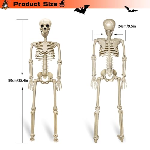 2 Pack Life Size Halloween Skeletons - 3 ft Props