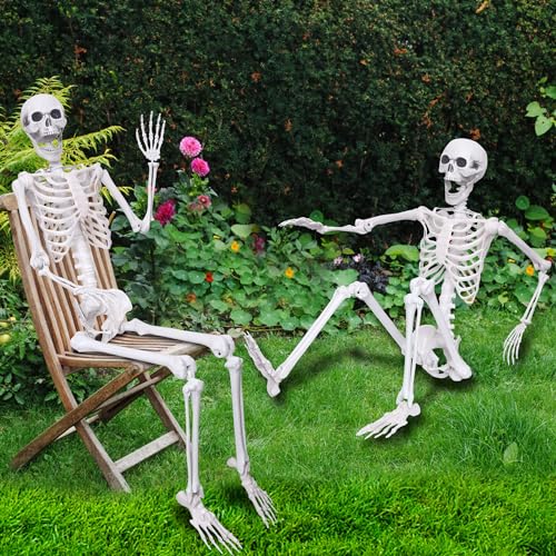 Halloween Skeleton Decor,5.4ft Life Size Skeleton Posable Skeleton with Artificial Pumpkin Full Body Human Skeleton for Halloween Decorations