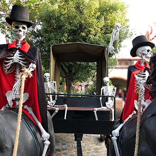 2Packs 5.4ft Halloween Human Skeletons Life Size Full Body Bones with Movable Joints for Halloween Props Spooky Party Decoration