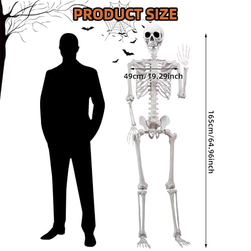 5.4 ft Halloween Skeleton Poseable Skeleton Life Size Skeleton Full Body Plastic Human Bones Standing Human Skeleton with Posable Joints for Halloween Decoration