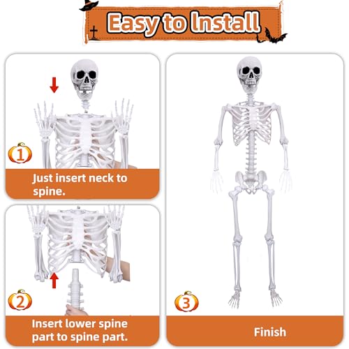 5.4 ft Halloween Skeleton Poseable Skeleton Life Size Skeleton Full Body Plastic Human Bones Standing Human Skeleton with Posable Joints for Halloween Decoration
