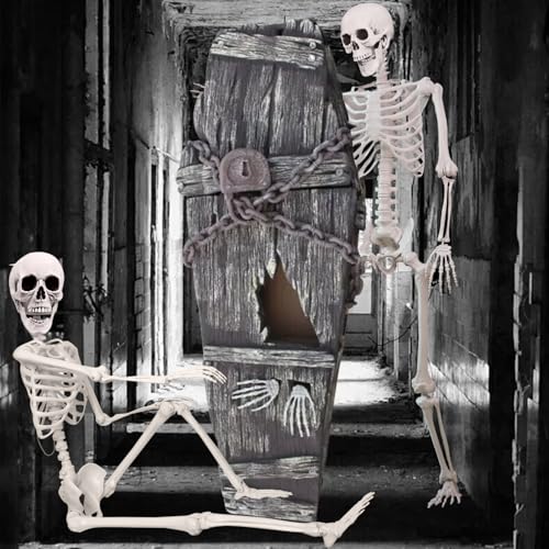 5.4 ft Halloween Skeleton Poseable Skeleton Life Size Skeleton Full Body Plastic Human Bones Standing Human Skeleton with Posable Joints for Halloween Decoration
