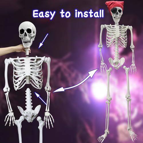 IDMOP 5.4Ft Halloween Skeleton - Life Size Full Body Realistic Human Bones with Posable Joints for Halloween Pose Skeleton Prop Decoration