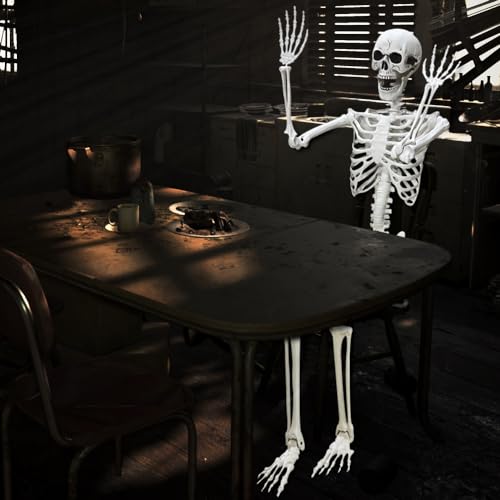 Lodou 5.4Ft Posable Life Size Human Adult Skeletons Plastic Human Bones with Movable Joints for Halloween Decoration
