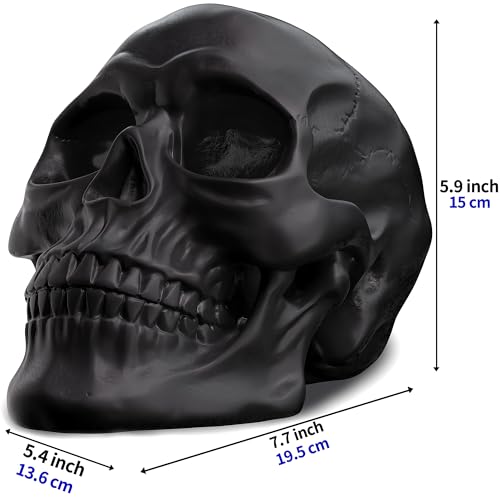READAEER Life Size Human Skull Model 1:1 Replica Realistic Human Adult Skull Head Bone Model (Black)