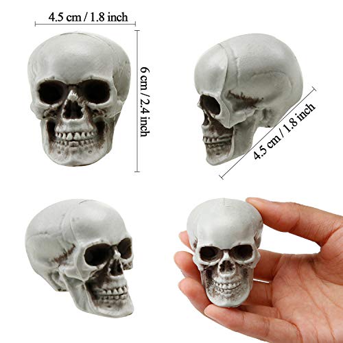 Boao 8 Pieces Halloween Skulls Realistic Looking Skulls Human Skeleton Head Skull for Halloween Bar Home Table Decoration (1.8 x 1.8 x 2.4 Inches)