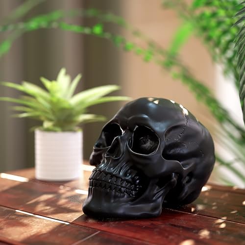 READAEER Life Size Human Skull Model 1:1 Replica Realistic Human Adult Skull Head Bone Model (Black)