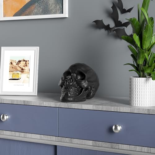 READAEER Life Size Human Skull Model 1:1 Replica Realistic Human Adult Skull Head Bone Model (Black)