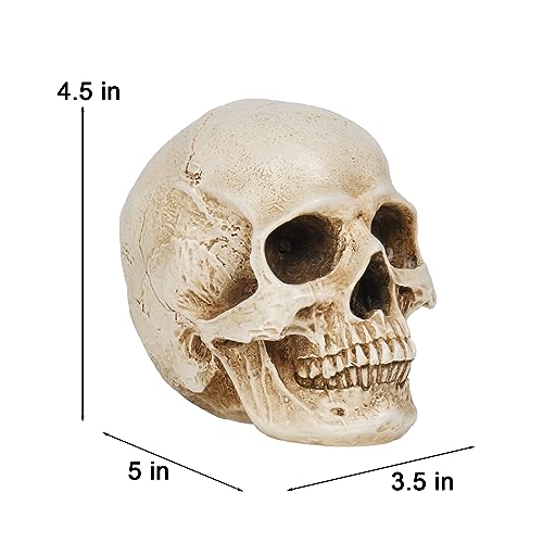 Braxio Skeleton Skull Decor Halloween Lights - Resin Skull Statues with Red Led Lights Gothic Decor for Day of The Dead Room Decor Aesthetic Indoor Figurine Lamps 3.5 * 5 * 4.5 Inch