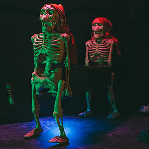 Large 22.6" Animated Walking Skeletons Coffin Animatronics - Large Corpses Decoration, Indoor & Outdoor & Moving Yard Decor - Lights Up - Spooky Goth for Home, Scary Haunted, Skull Casket