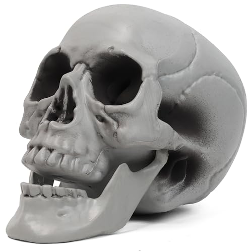 MOKRY PARTY Life Size Skeleton Skull for Halloween Decor Graveyard Outdoor White