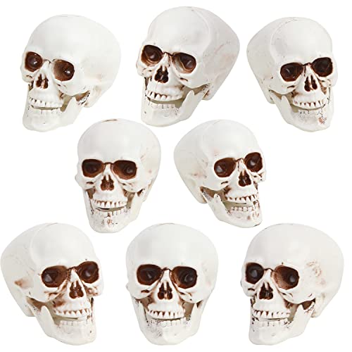 CCINEE 8pcs Halloween Skull Decoration Realistic Looking Skulls Mini Human Skeleton Head Skull Ornaments for Halloween Home Haunted House Day of The Dead Decor Party Supplies(2 x 2.75 x 2.75 inch)