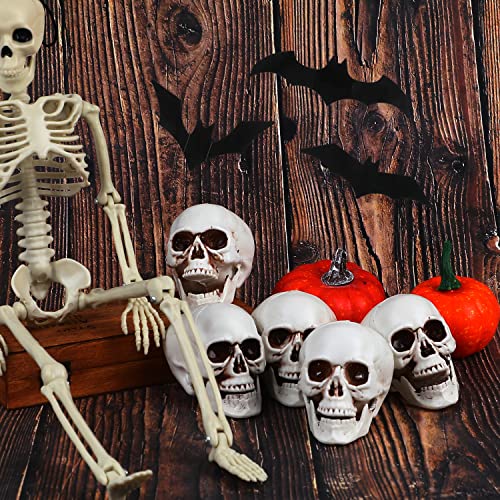 CCINEE 8pcs Halloween Skull Decoration Realistic Looking Skulls Mini Human Skeleton Head Skull Ornaments for Halloween Home Haunted House Day of The Dead Decor Party Supplies(2 x 2.75 x 2.75 inch)