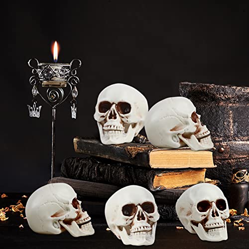 CCINEE 8pcs Halloween Skull Decoration Realistic Looking Skulls Mini Human Skeleton Head Skull Ornaments for Halloween Home Haunted House Day of The Dead Decor Party Supplies(2 x 2.75 x 2.75 inch)