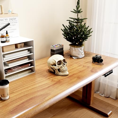 READAEER Life Size Human Skull Model 1:1 Replica Realistic Human Adult Skull Head Bone Model (White)