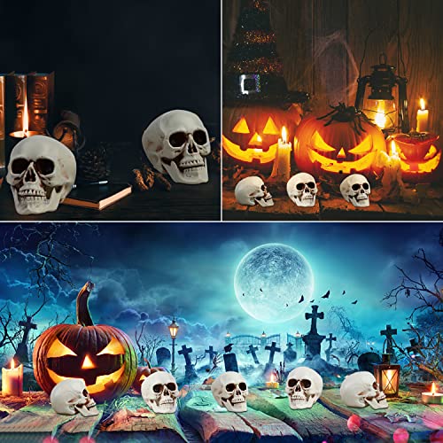 CCINEE 8pcs Halloween Skull Decoration Realistic Looking Skulls Mini Human Skeleton Head Skull Ornaments for Halloween Home Haunted House Day of The Dead Decor Party Supplies(2 x 2.75 x 2.75 inch)