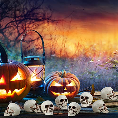 CCINEE 8pcs Halloween Skull Decoration Realistic Looking Skulls Mini Human Skeleton Head Skull Ornaments for Halloween Home Haunted House Day of The Dead Decor Party Supplies(2 x 2.75 x 2.75 inch)