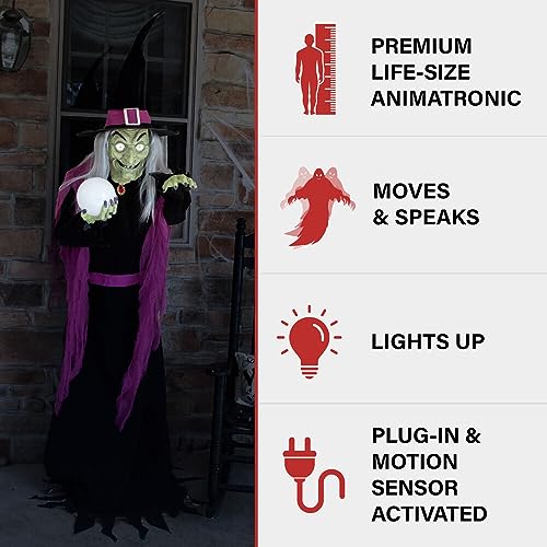 Haunted Hill Farm 6-Ft. Tall Fortune Teller Witch, Plug-in Motion-Activated Talking Scare Prop Halloween Animatronic for Indoor or Covered Outdoor Creepy Halloween Decorations, Spooky Halloween Props