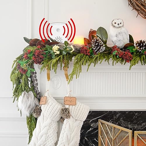 Talking Products, Voice Recordable PIR Infrared Motion Sensor Detector with Multi-Track Playback. Record or Download your own Custom MP3 Files to Play Speech, Music or Sound Effects.