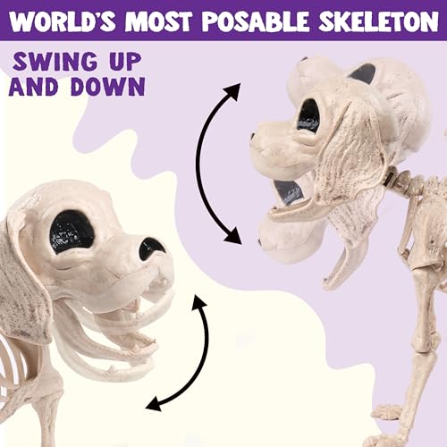 JOYIN Posable Halloween Dog Skeleton Full Body Posable Joints Skeleton Puppy for Halloween Decoration, Graveyard Party Deco (9.8” X 4.7” X 12.6”)