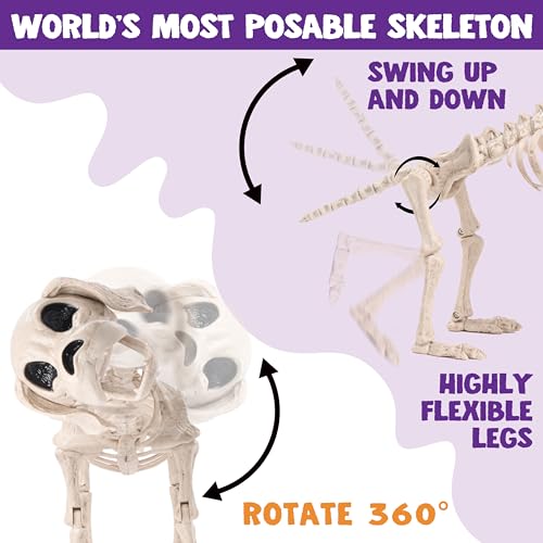 JOYIN Posable Halloween Dog Skeleton Full Body Posable Joints Skeleton Puppy for Halloween Decoration, Graveyard Party Deco (9.8” X 4.7” X 12.6”)