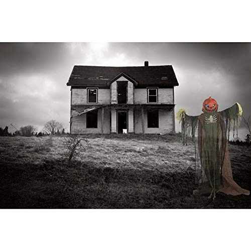 Haunted Hill Farm Life-Size Poseable Pumpkin Scarecrow, Halloween Animatronic with Touch Activated Lights and Sound, Scary Fright Props, Battery Operated Indoor or Covered Outdoor Halloween Decoration