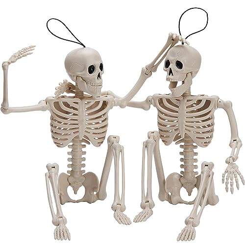JOYIN 2 PCS 16 Inches Halloween Skeletons Full Body Posable Joints Skeletons for Halloween Graveyard Decorations, Haunted House Accessories