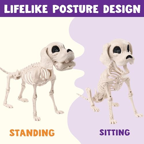 JOYIN Posable Halloween Dog Skeleton Full Body Posable Joints Skeleton Puppy for Halloween Decoration, Graveyard Party Deco (9.8” X 4.7” X 12.6”)