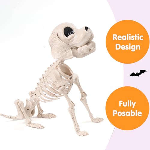 JOYIN Posable Halloween Dog Skeleton Full Body Posable Joints Skeleton Puppy for Halloween Decoration, Graveyard Party Deco (9.8” X 4.7” X 12.6”)