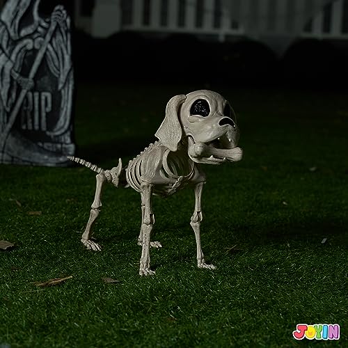 JOYIN Posable Halloween Dog Skeleton Full Body Posable Joints Skeleton Puppy for Halloween Decoration, Graveyard Party Deco (9.8” X 4.7” X 12.6”)