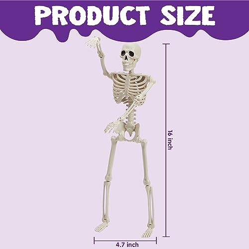 JOYIN 2 PCS 16 Inches Halloween Skeletons Full Body Posable Joints Skeletons for Halloween Graveyard Decorations, Haunted House Accessories