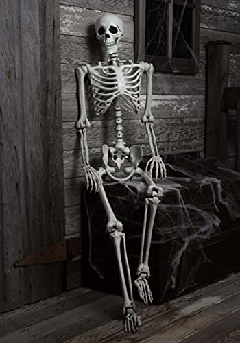 Fun Costumes Life Size Posable Skeleton Figure Halloween Prop 5 Ft Tall - ST