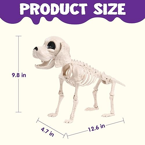 JOYIN Posable Halloween Dog Skeleton Full Body Posable Joints Skeleton Puppy for Halloween Decoration, Graveyard Party Deco (9.8” X 4.7” X 12.6”)