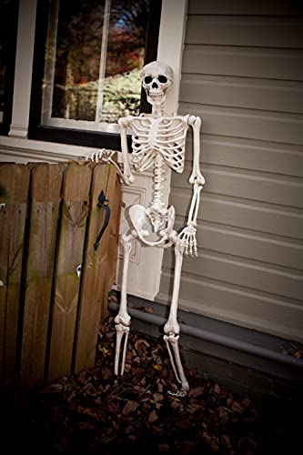 Crazy Bonez Pose-N-Stay Skeleton