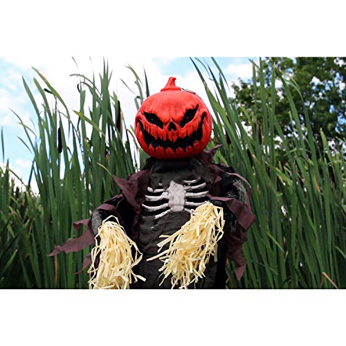 Haunted Hill Farm Life-Size Poseable Pumpkin Scarecrow, Halloween Animatronic with Touch Activated Lights and Sound, Scary Fright Props, Battery Operated Indoor or Covered Outdoor Halloween Decoration