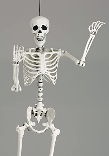 Fun Costumes Life Size Posable Skeleton Figure Halloween Prop 5 Ft Tall - ST