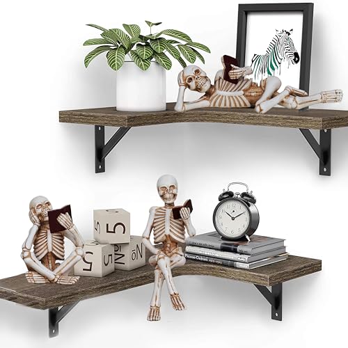 Dlfghos 3 Pieces Halloween Skull Statue Decor Reading Women Figurine Skeleton Statue Sculpture Decor Halloween Decor Gift Figurines