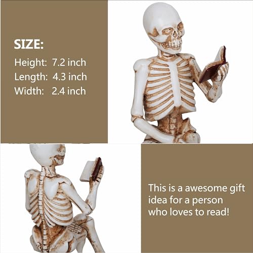 Dlfghos 3 Pieces Halloween Skull Statue Decor Reading Women Figurine Skeleton Statue Sculpture Decor Halloween Decor Gift Figurines