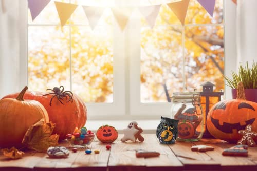 Enesco Jim Shore Miniature Black Owl with Witch Scene Mini Halloween Figurine 3.75 Inch, Gold