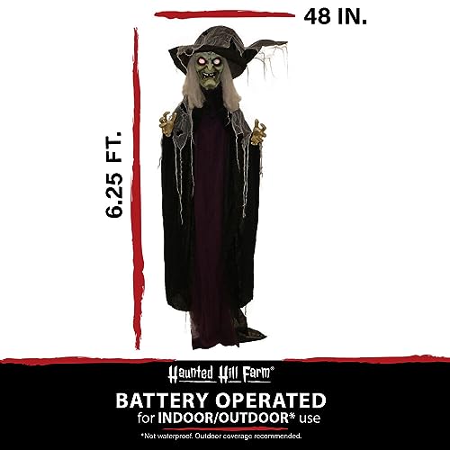 Haunted Hill Farm Life-Size Poseable Scary Talking Witch, Halloween Animatronic with Touch Activated Lights and Sound, Battery Operated Indoor or Covered Outdoor Halloween Decorations, Fright Props