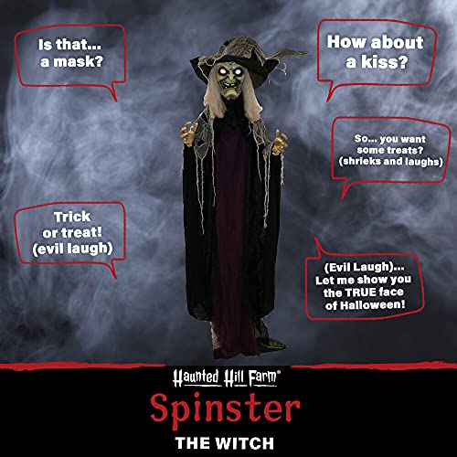 Haunted Hill Farm Life-Size Poseable Scary Talking Witch, Halloween Animatronic with Touch Activated Lights and Sound, Battery Operated Indoor or Covered Outdoor Halloween Decorations, Fright Props