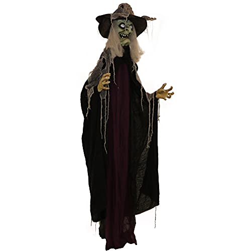 Haunted Hill Farm Life-Size Poseable Scary Talking Witch, Halloween Animatronic with Touch Activated Lights and Sound, Battery Operated Indoor or Covered Outdoor Halloween Decorations, Fright Props