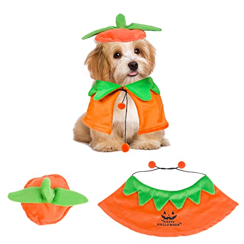 Pumpkin Cloak and Hat Set for Dogs