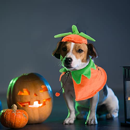 Pumpkin Cloak and Hat Set for Dogs