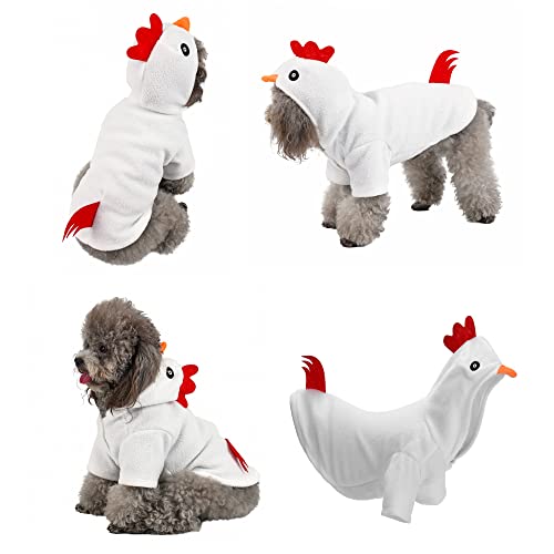 Funny Pet Costumes for Halloween and Holidays