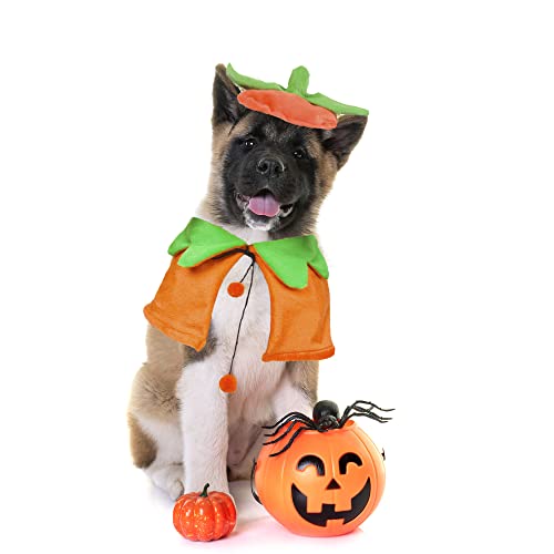 Pumpkin Cloak and Hat Set for Dogs