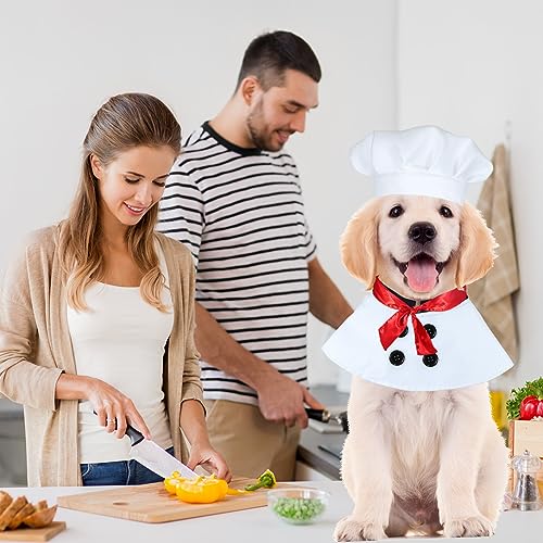 Adorable Dog Chef Costume for Halloween Fun