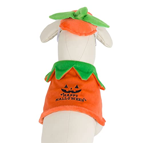 Pumpkin Cloak and Hat Set for Dogs