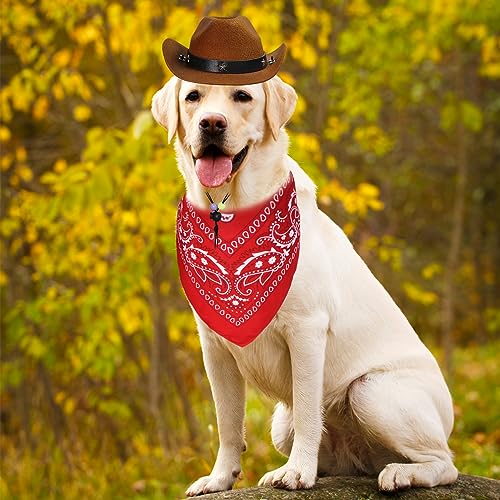 Funny Cowboy Dog Costume for Halloween Pets